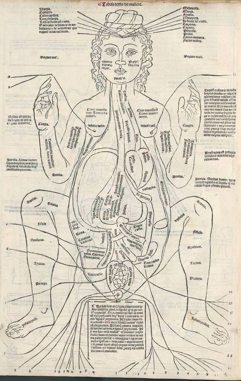 Illustration. A woman bends her arms and legs so her elbows and knees nearly touch. Skin has been removed to show the organs, including a tiny foetus, in her tear-drop-shaped torso. Body parts are labelled on the body and in text around the perimeter of the illustration.