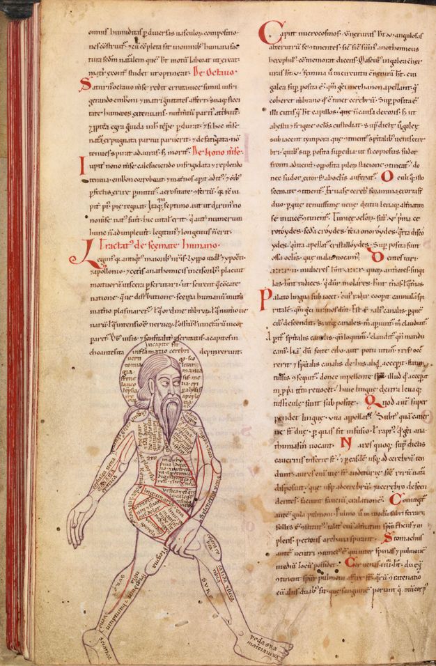 Illumination. In the bottom left quadrant of this page, a figure of a man with long hair and beard strides to our right with his arms swung to our left. Every body part is covered mostly or entirely with text. A halo-like ring around his head is also filled with writing. Two columns of text with red initial letters fill the rest of the page.