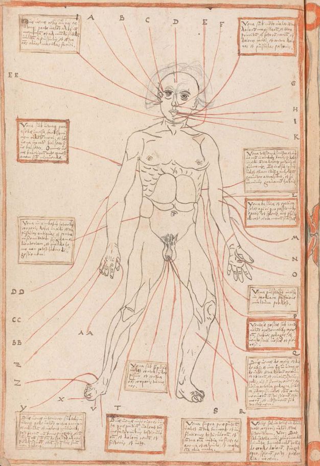 Drawing. A muscular, nude man has about three dozen red lines pointing to body parts. Lines connect to handwritten text in grey or red boxes. Others are labelled with letters.
